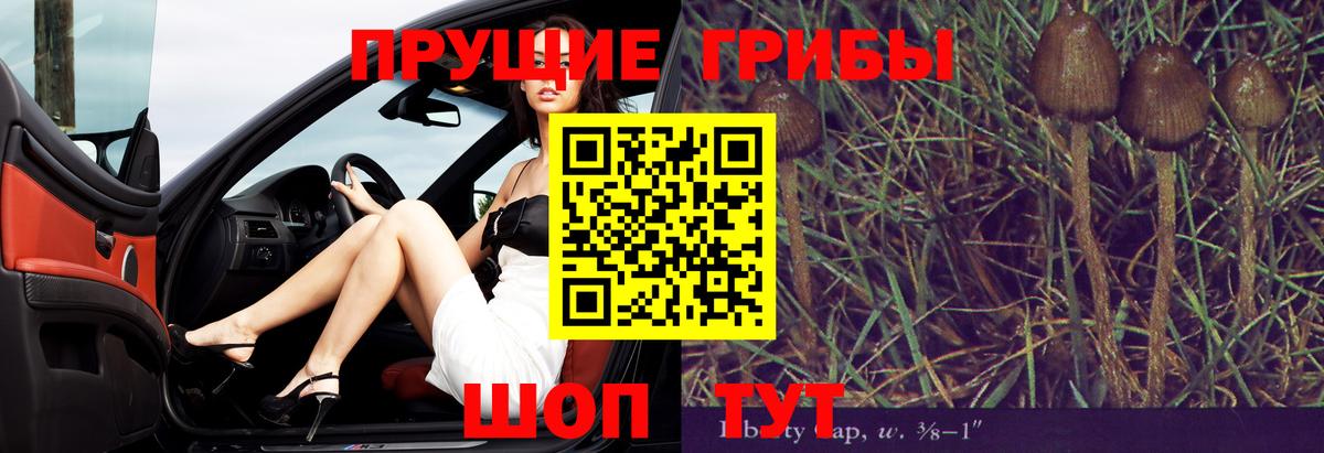 Бийск  где продают   Вход с VPN  Псилоцибиновые грибы мухоморы  Галлюциногенные грибы мухоморы 